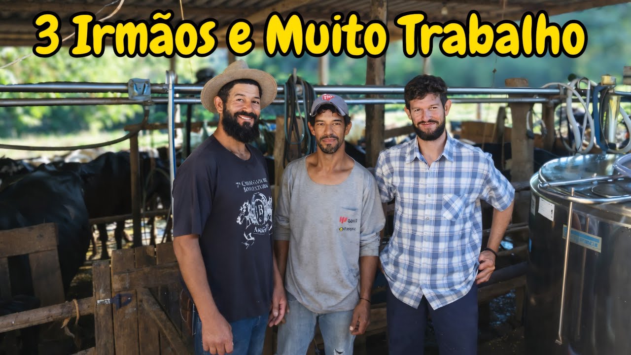 A Rotina Pesada de 3 Irmãos na Fazenda