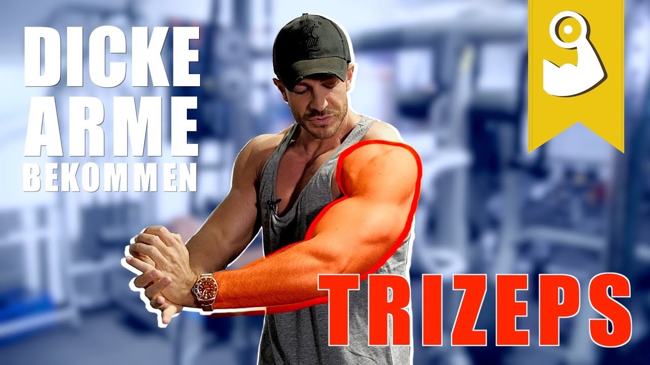 Trizeps, die beste Übung!