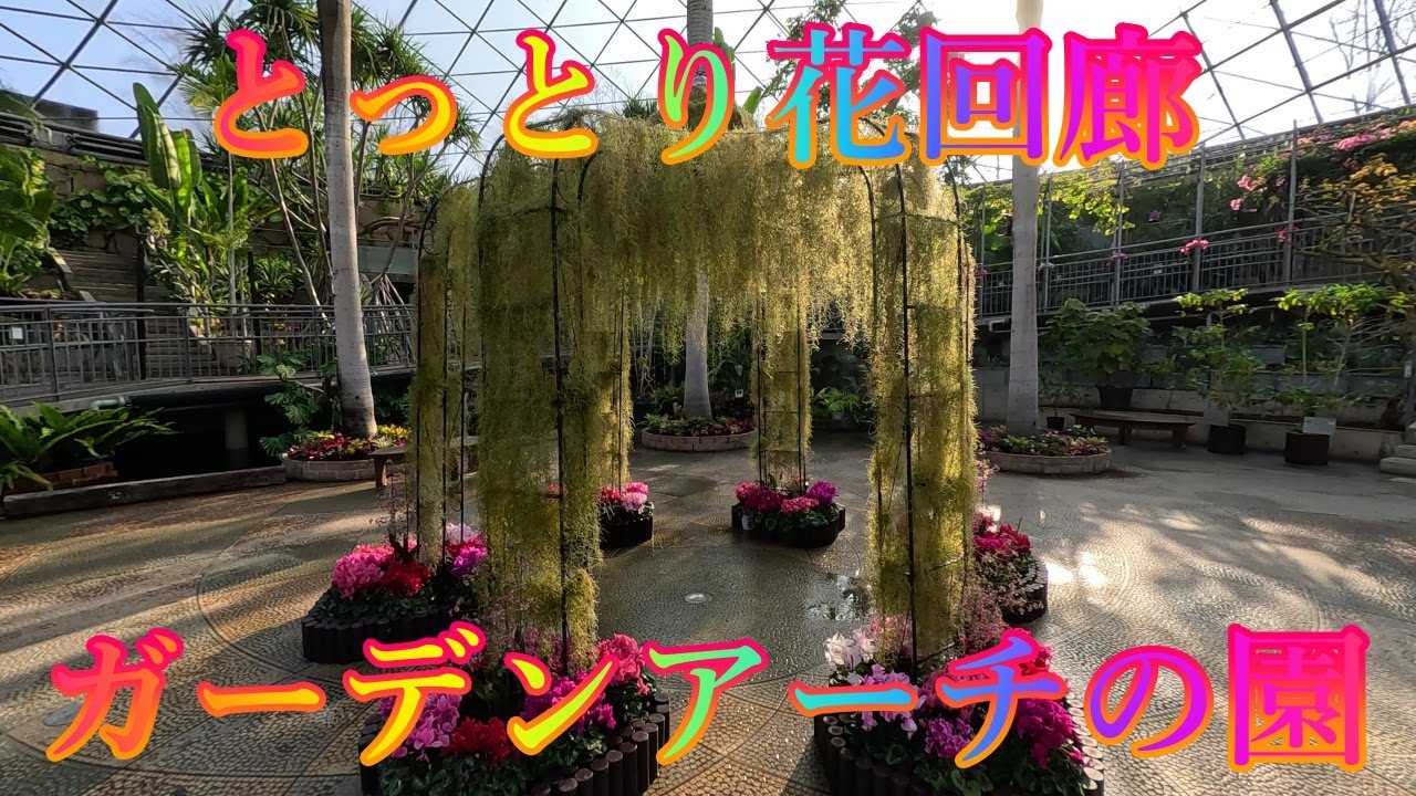 冬の季節 1月16日 金曜 晴れ 花の香園 #とっとり花回廊 ガーデンアーチの園 日本 鳥取県西伯郡南部町鶴田 レストラン花かいろう @WalkingYoshi