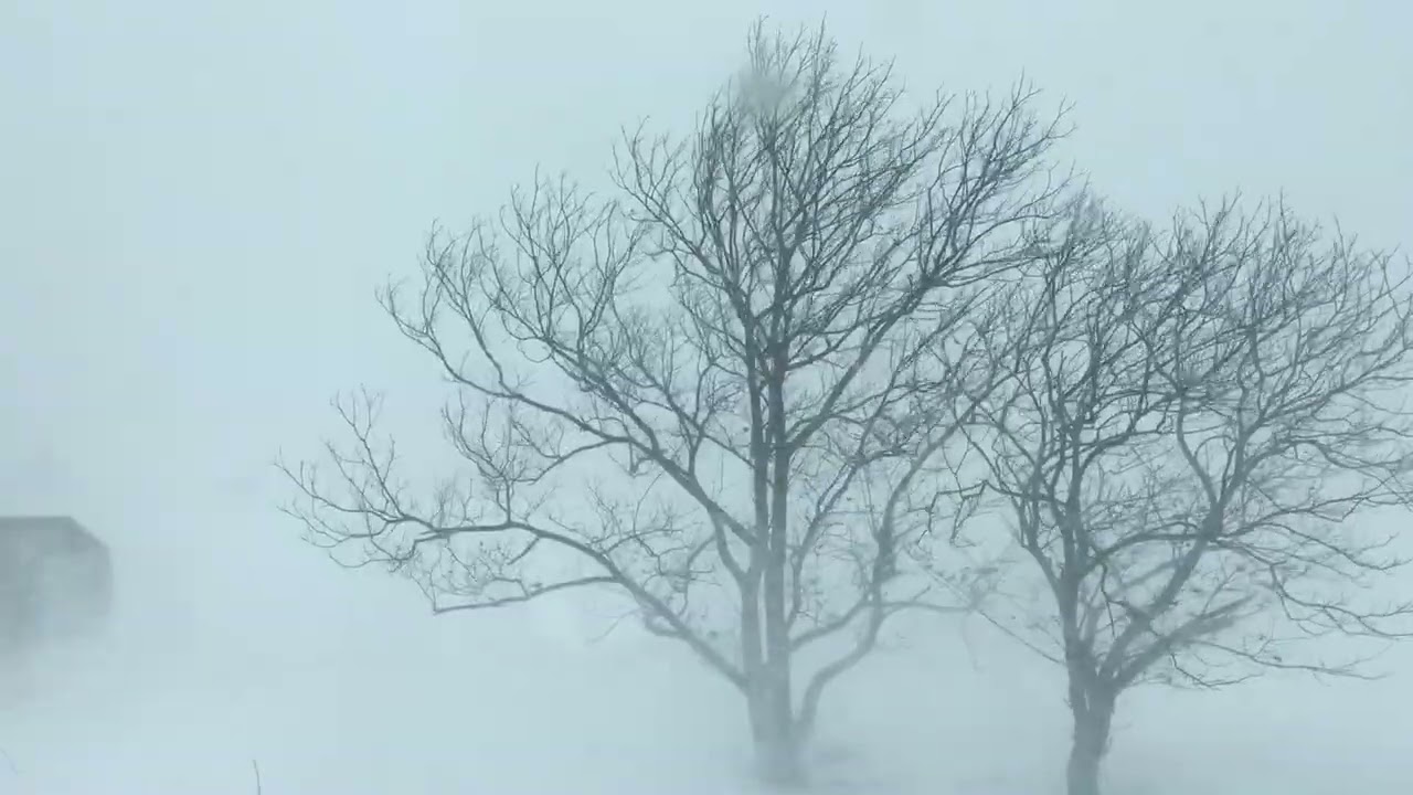 Snowstorm in Pennsylvania #snow #wind