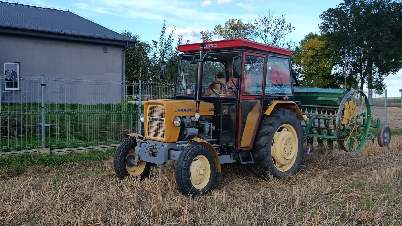 Piersze Siewy Ursus C-330 2025 ( jak u was ) 😍🤩🥰😀
