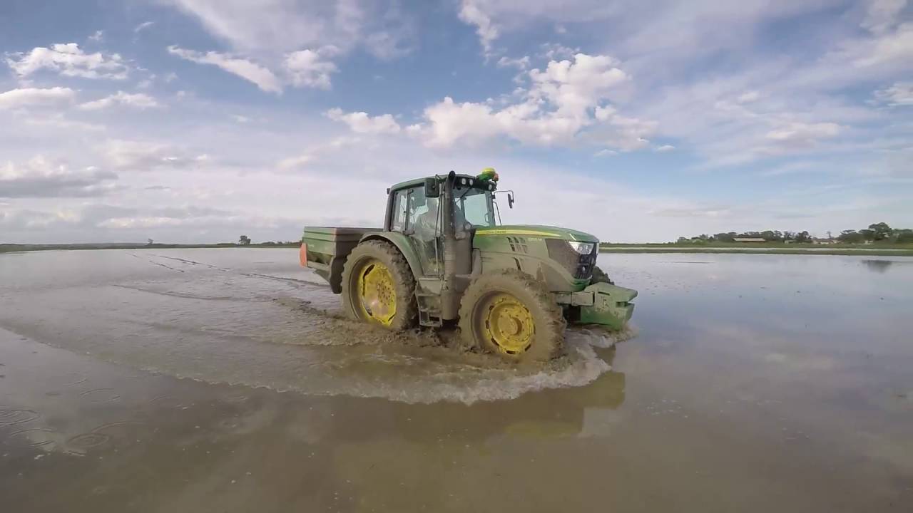 Semis de riz en Camargue