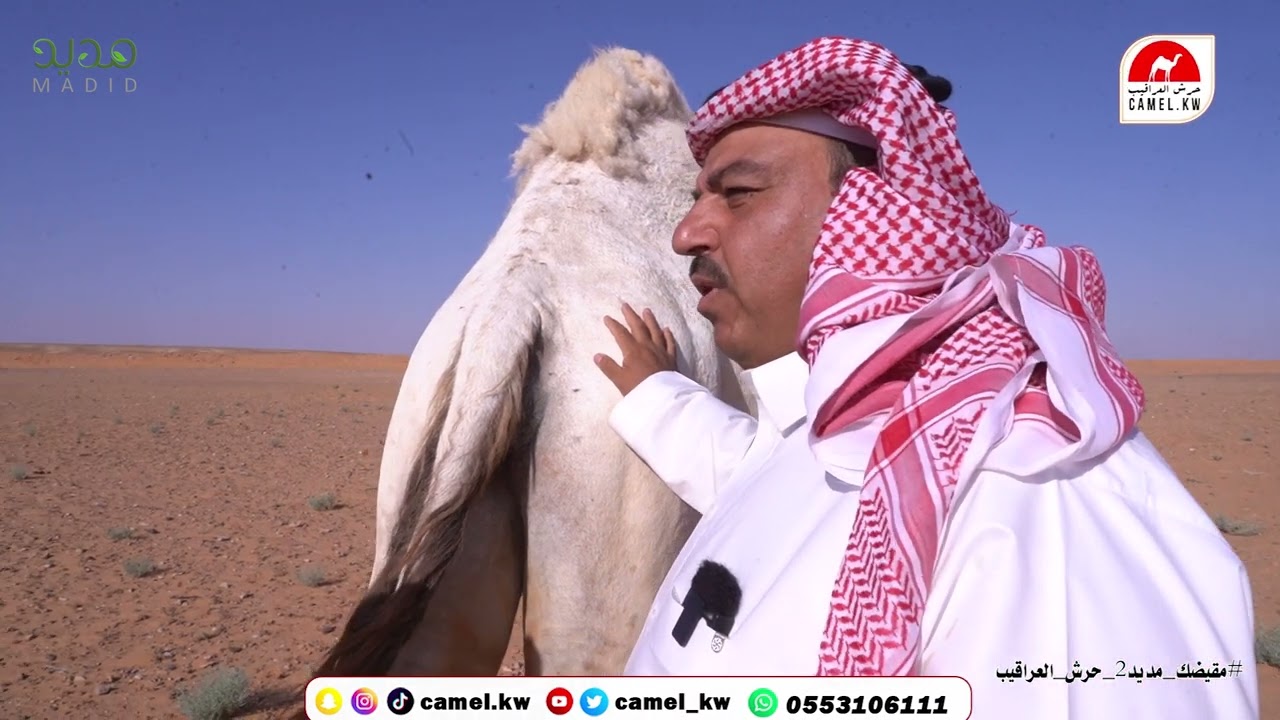 الحلقة الرابعة من برنامج مقيضك مديد ٢ أهمية العبيس وموارد الماء ؟