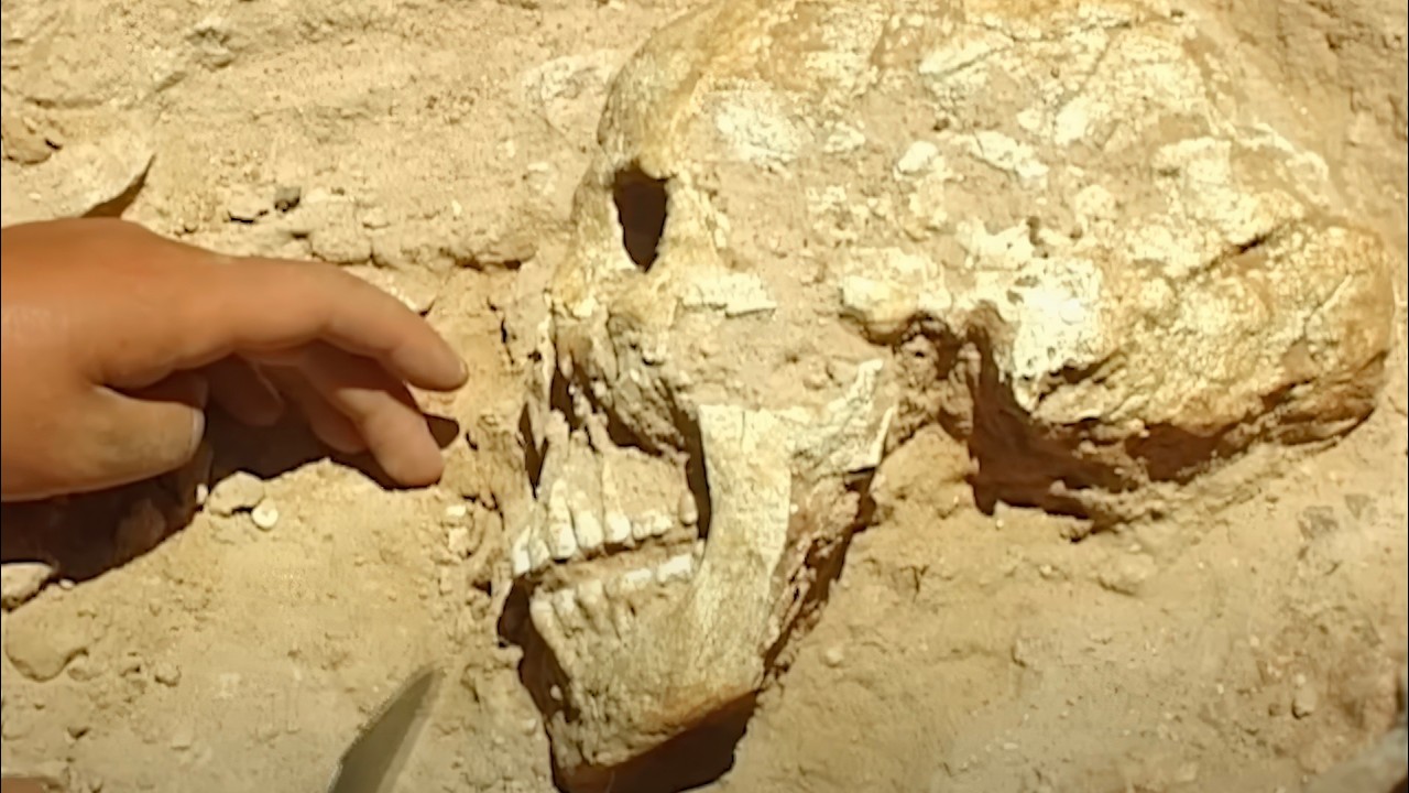 Африканская римская колония в Хаммамете в Тунисе