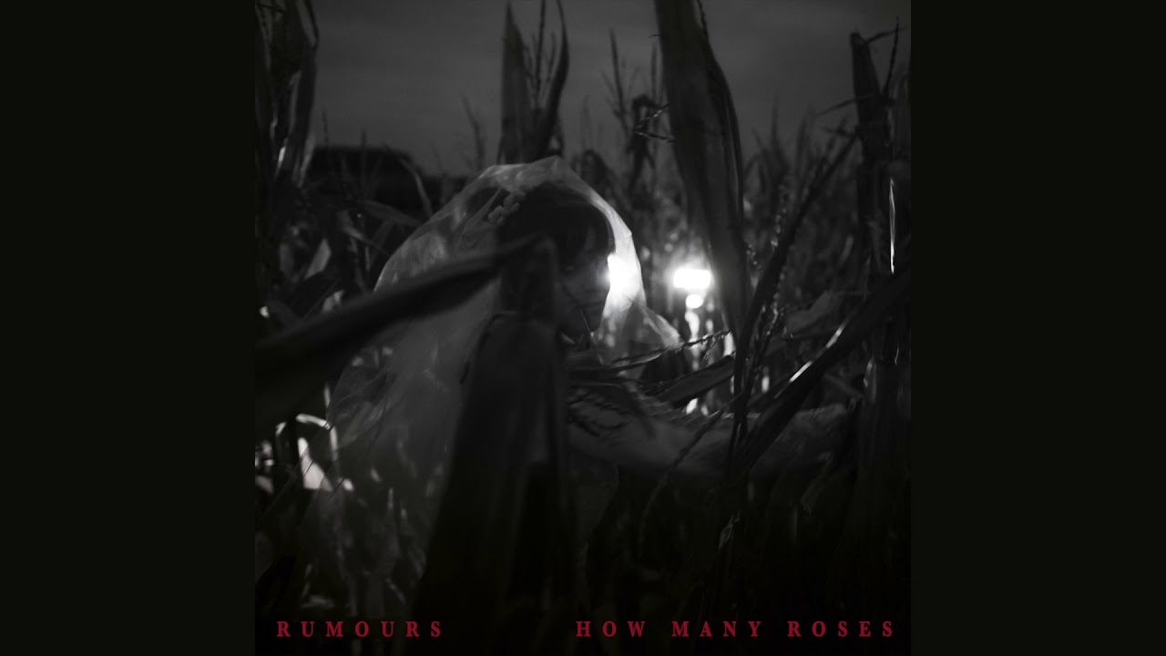 Rumours - How Many Roses (full album)