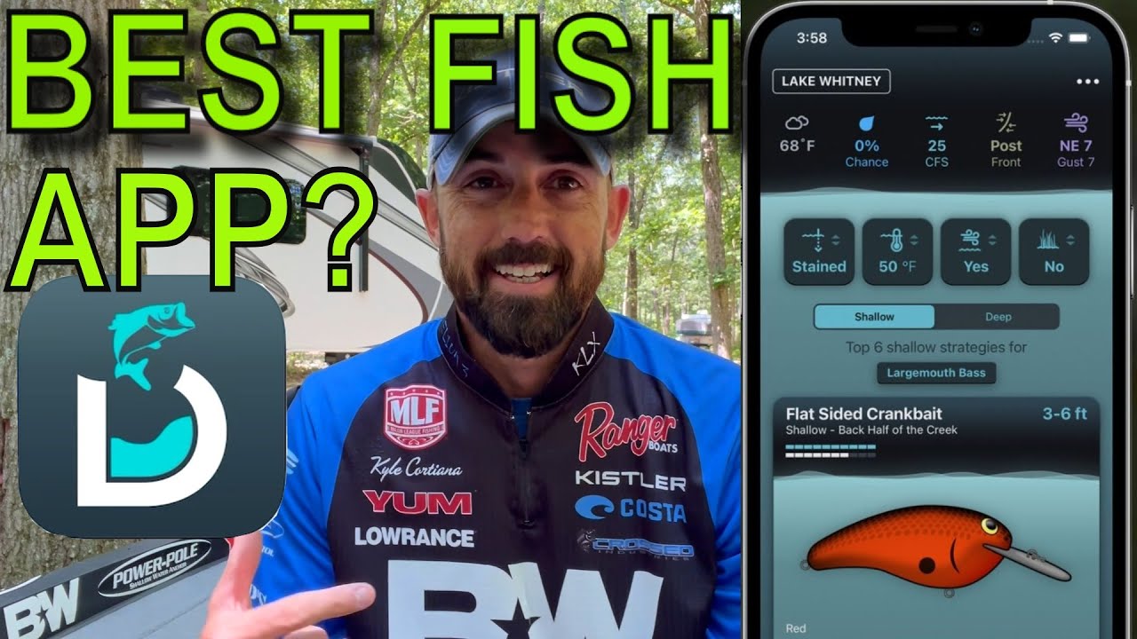 Лучшее приложение для рыбалки? Обзор приложения Deep Dive от Fish the Moment