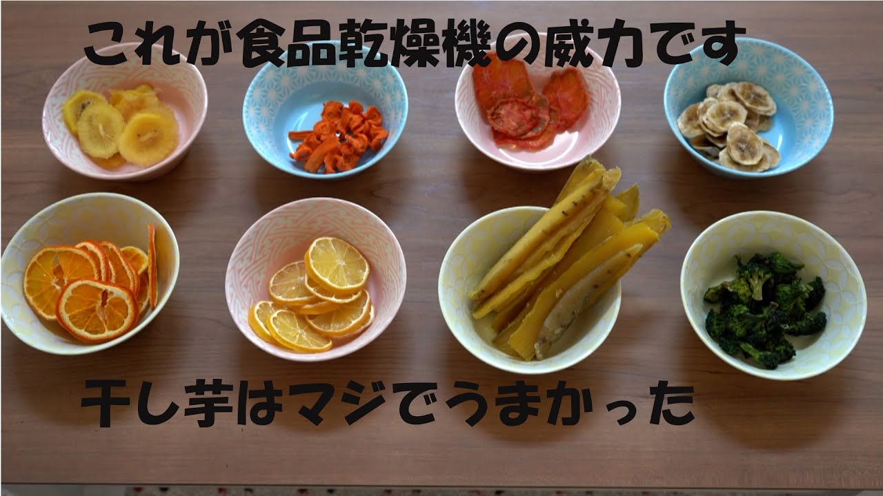 フードドライヤーをお借りできたので食品を乾燥させてやった(前編）
