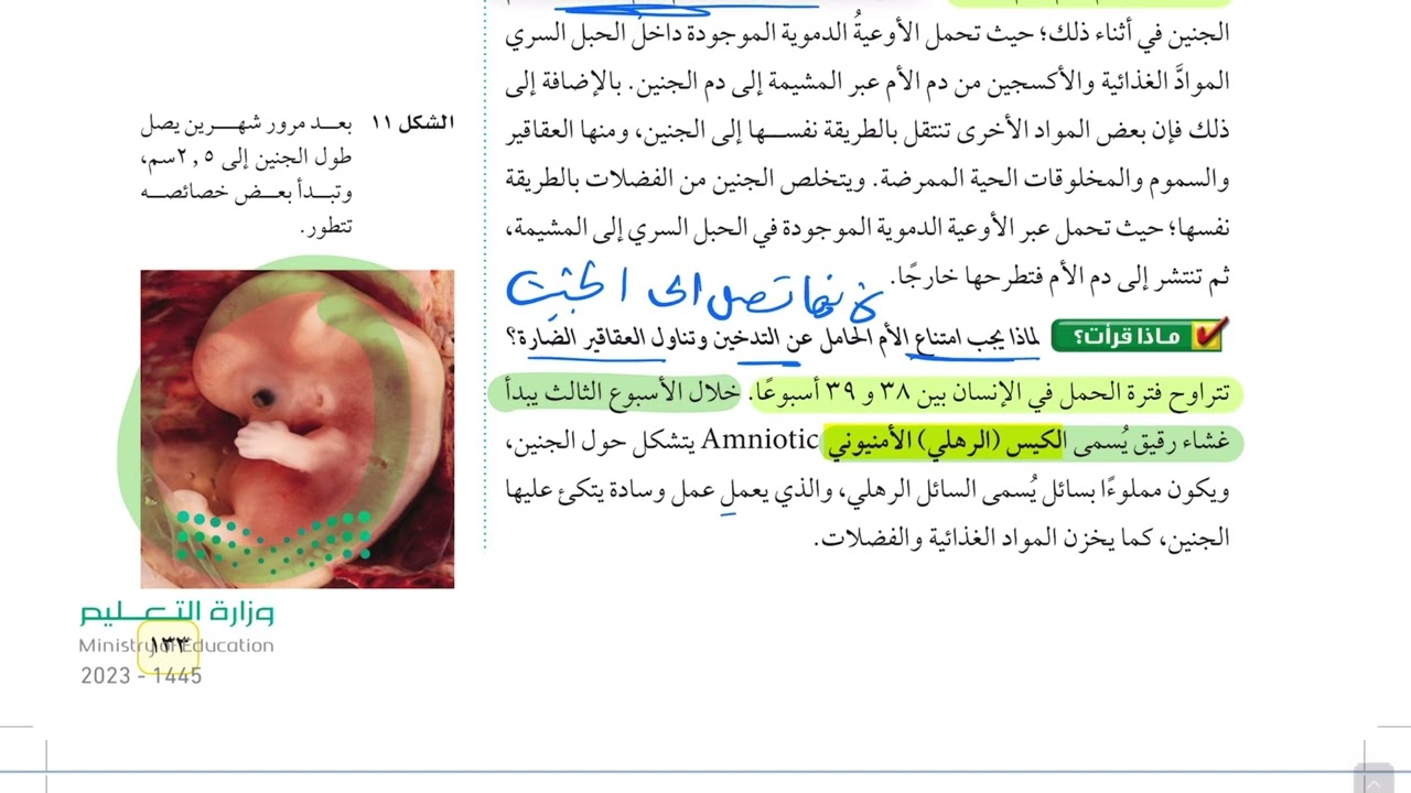 مراحل حياة الانسان علوم ثاني متوسط 1445