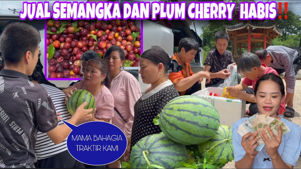 JUAL PLUM CHERRY DAN SEMANGKA HASIL KEBUN LARIS MANIS MAMA LANGSUNG TRAKTIR KAMI
