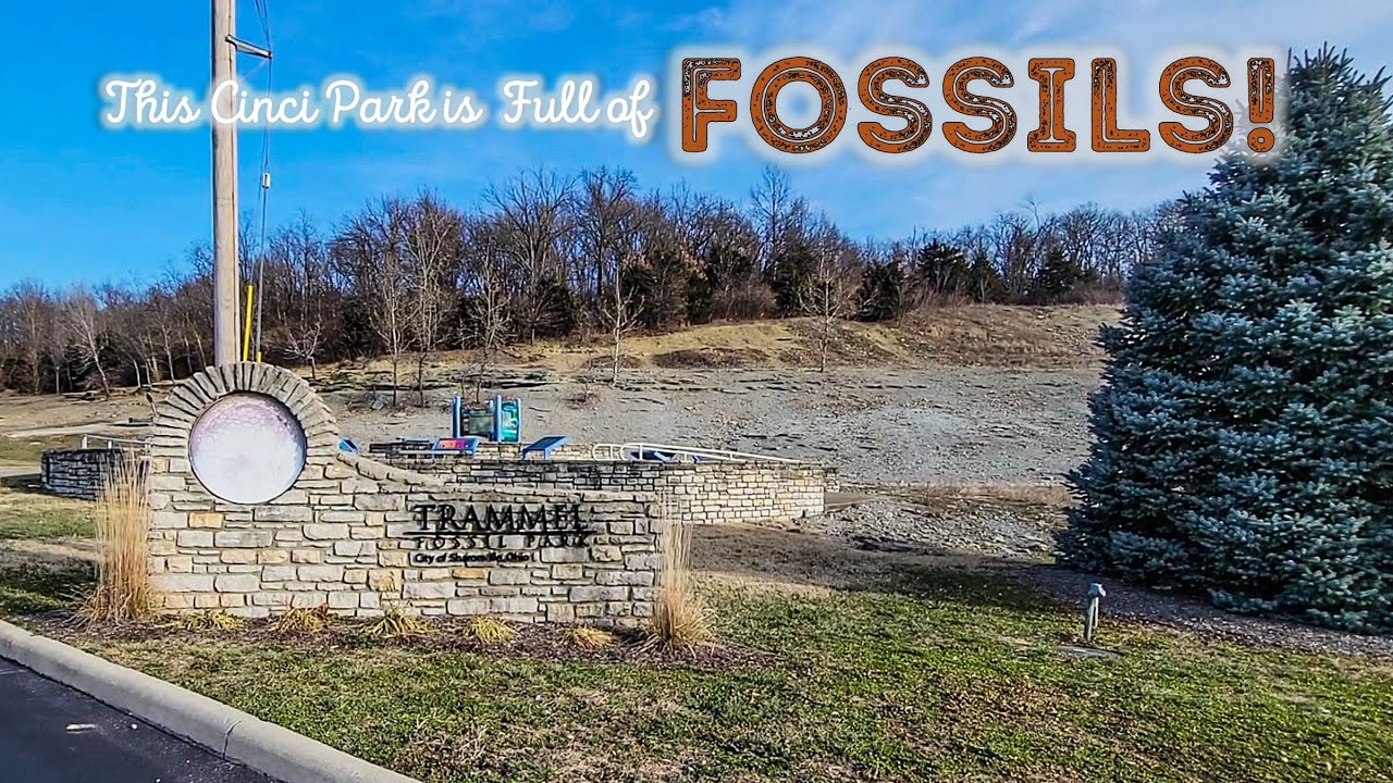 This Fossil Park in Cincinnati is a Great Place for Fossil Collecting With Kids