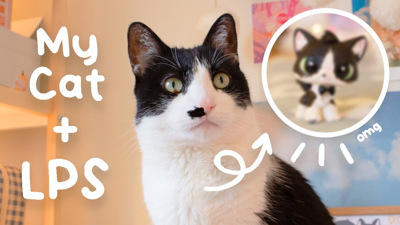 Making an LPS Custom of my Cat ✧˖°.