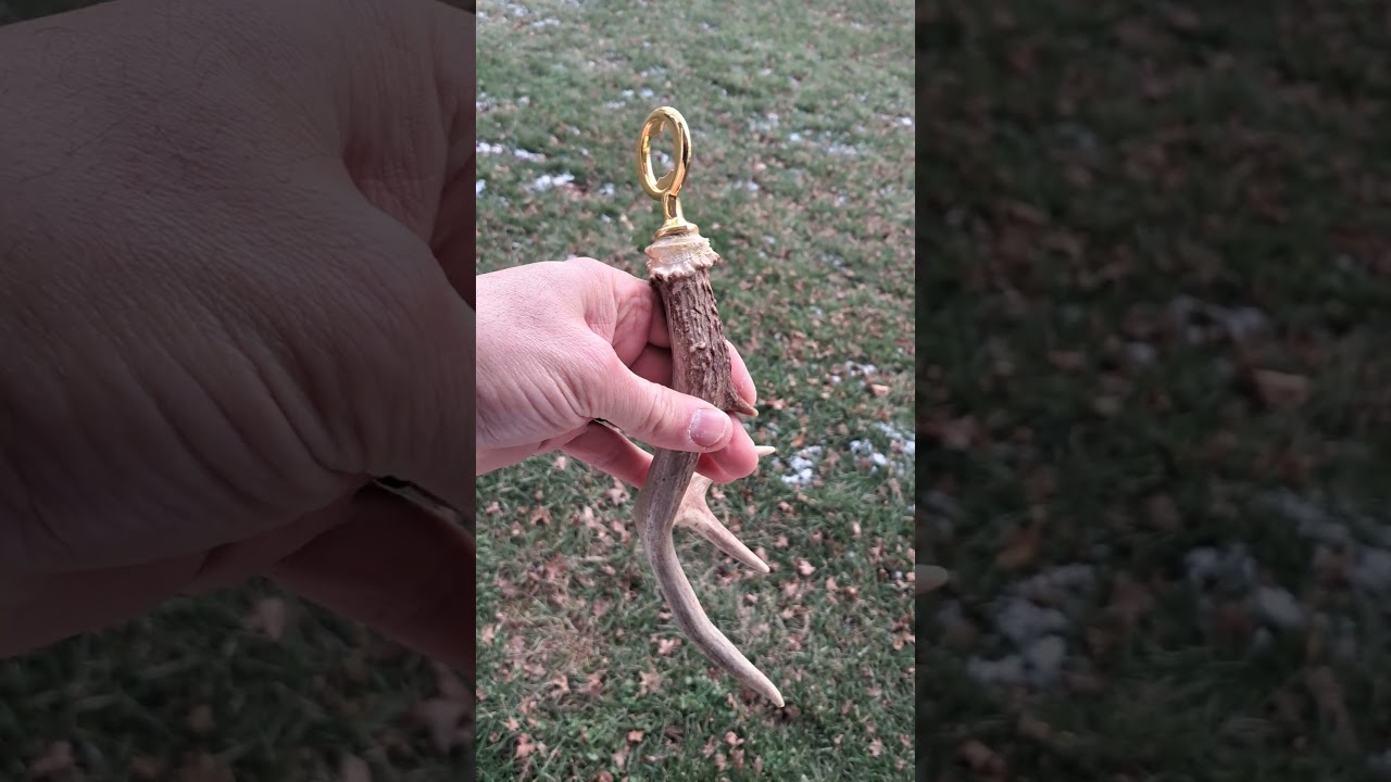 Antler Stag 4 point bottle opener 