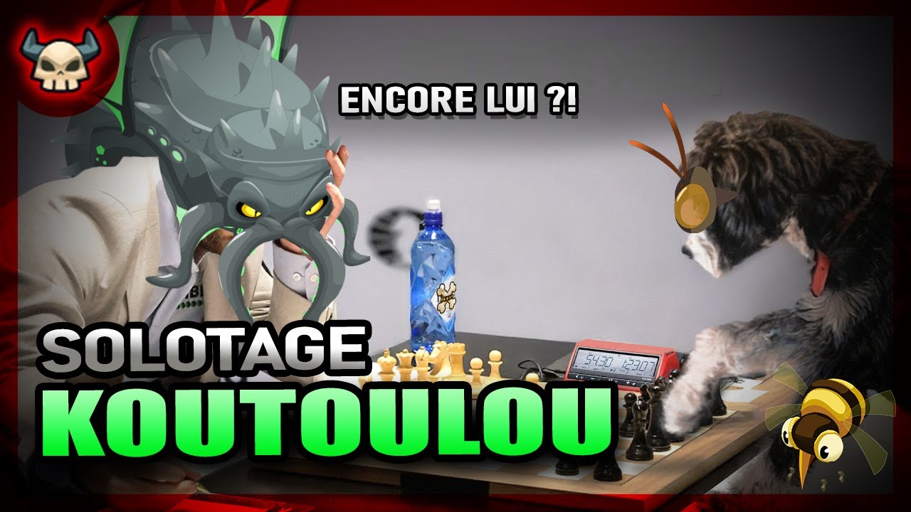 SOLOTAGE Ouginak | KOUTOULOU | Dofus Unity