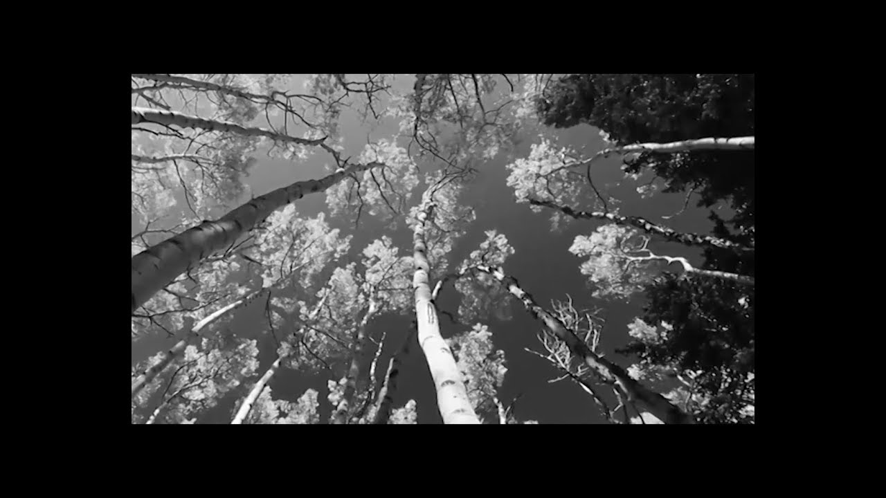 Doctor Flake - Cinema (Official Video)