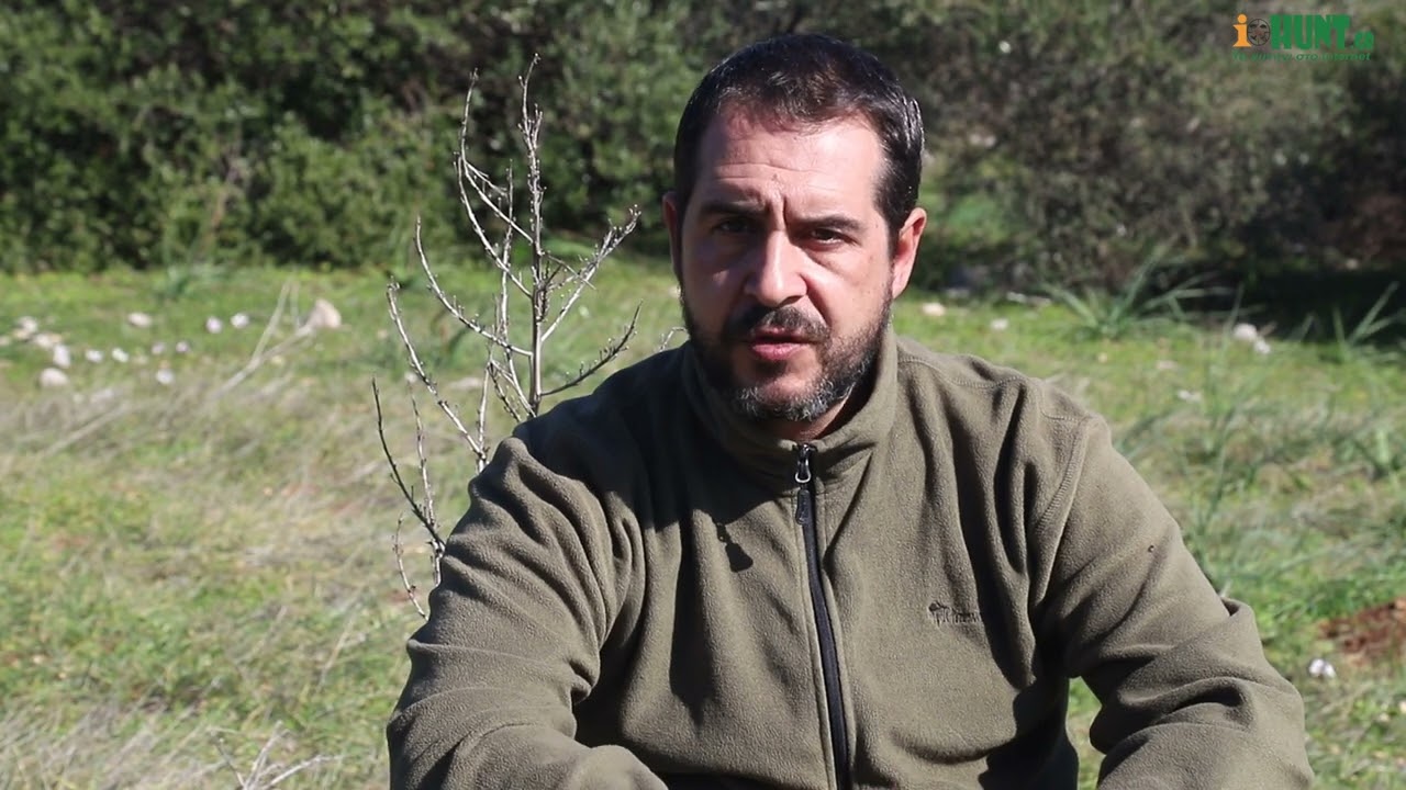 Πότε οι λαγοί φεύγουν νωρίς από το γιατάκι τους