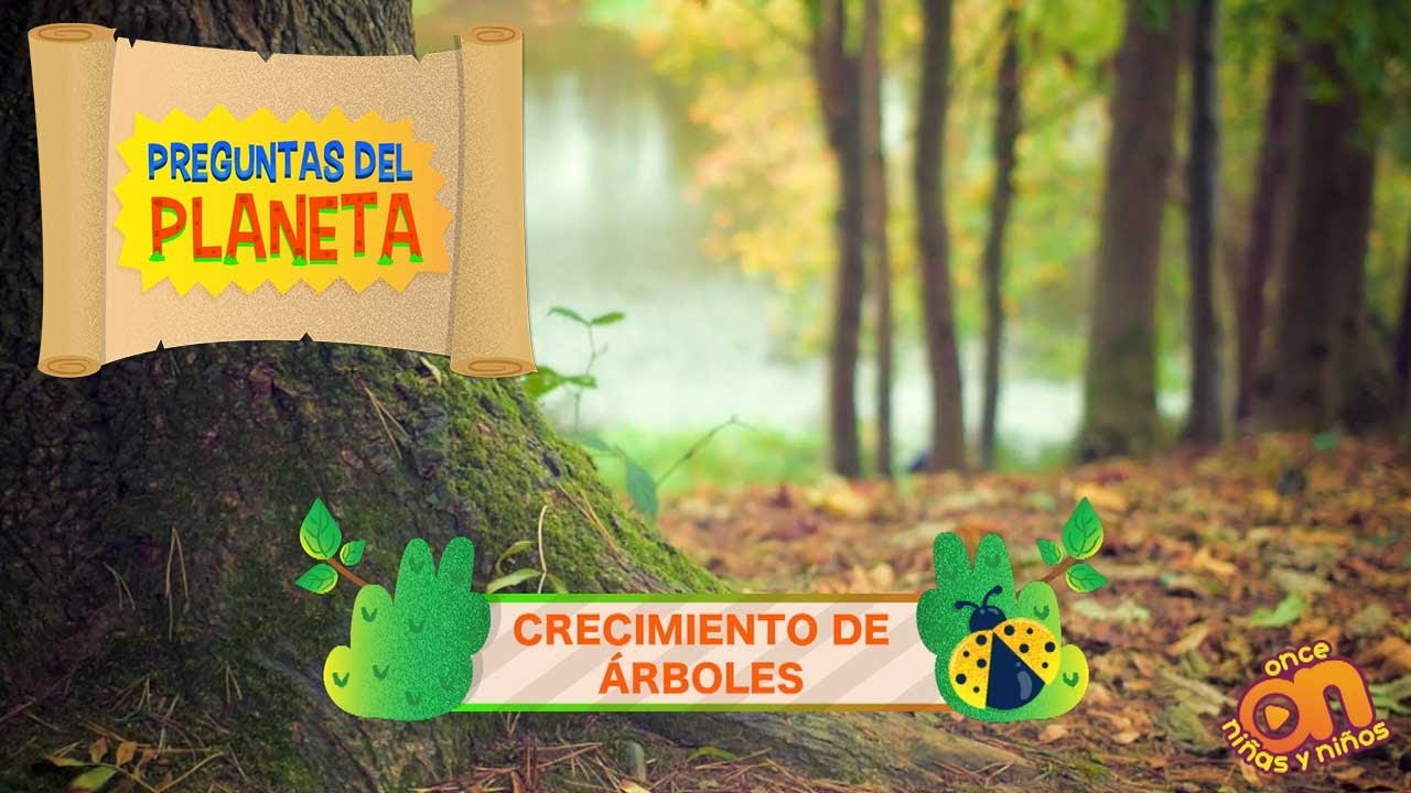 🌳 Crecimiento de árboles. Preguntas del planeta