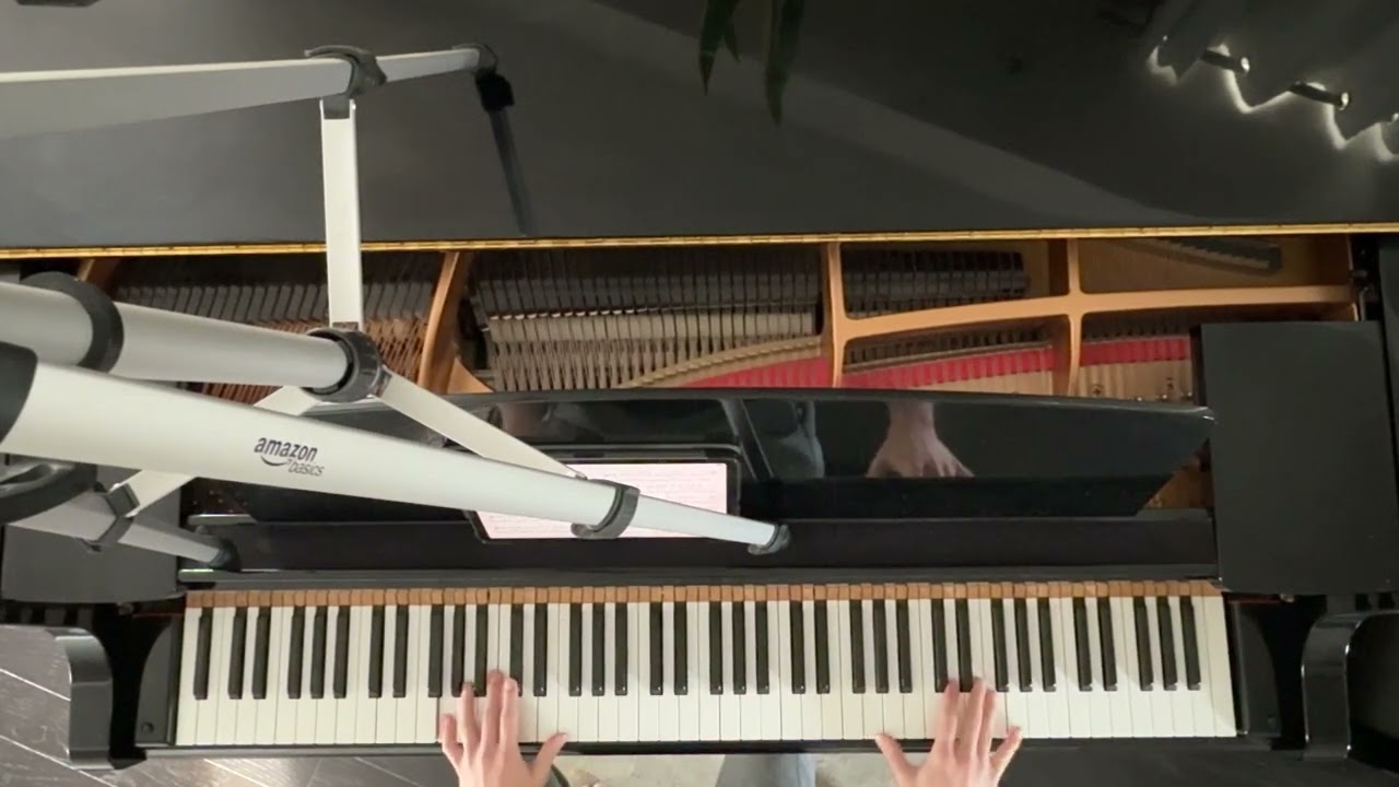 Euterpe ~ Guilty Crown arr. Animenz - Piano Lesson/Tutorial with Richard Yang