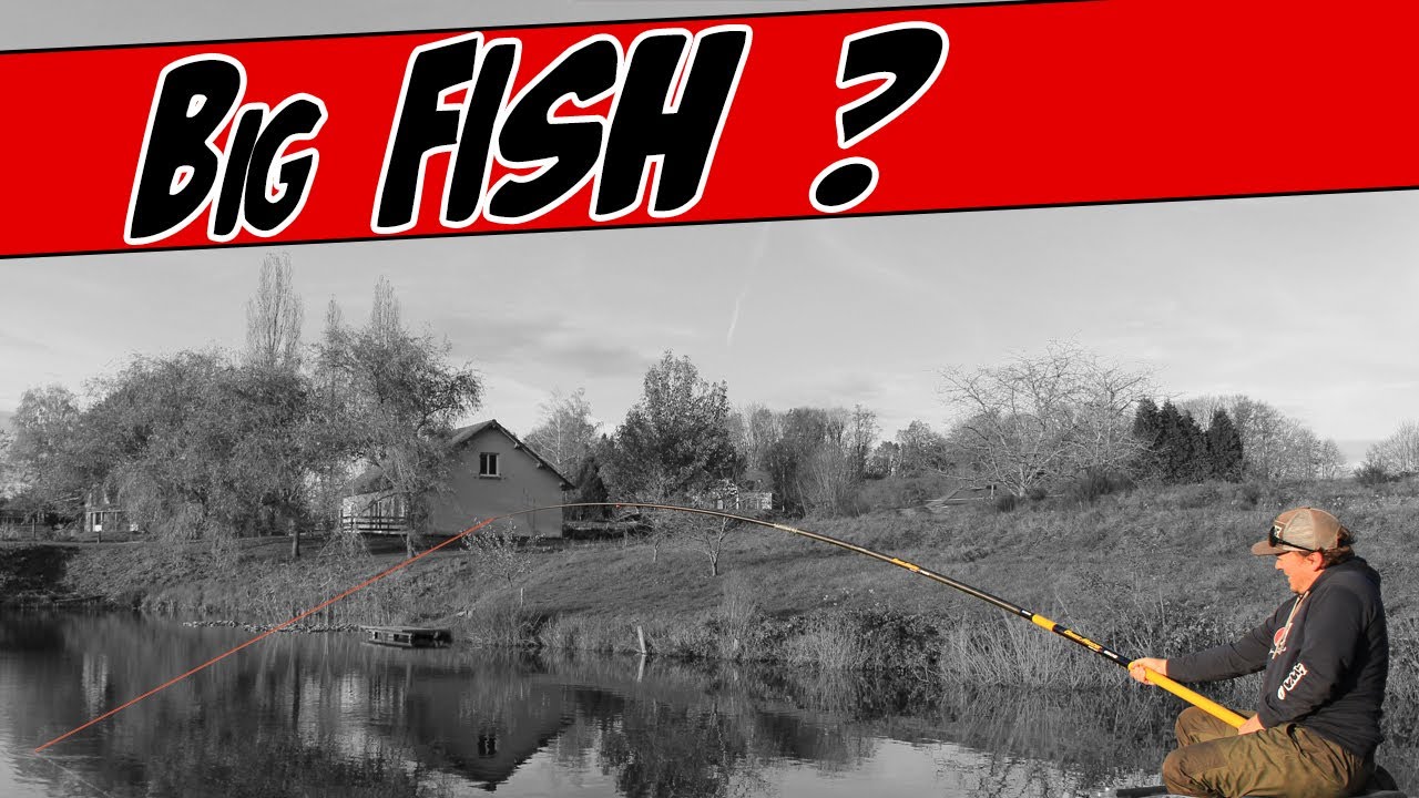 Pêche de l'esturgeon