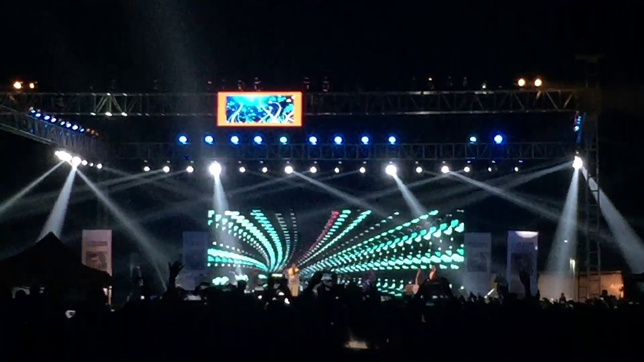 Guru Randhawa /PEC fest 2019 Nakhara live performance
