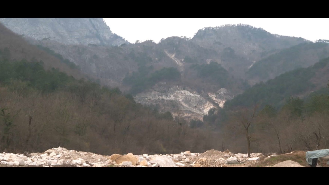 Šume u HNK bez zakonskog okvira: 