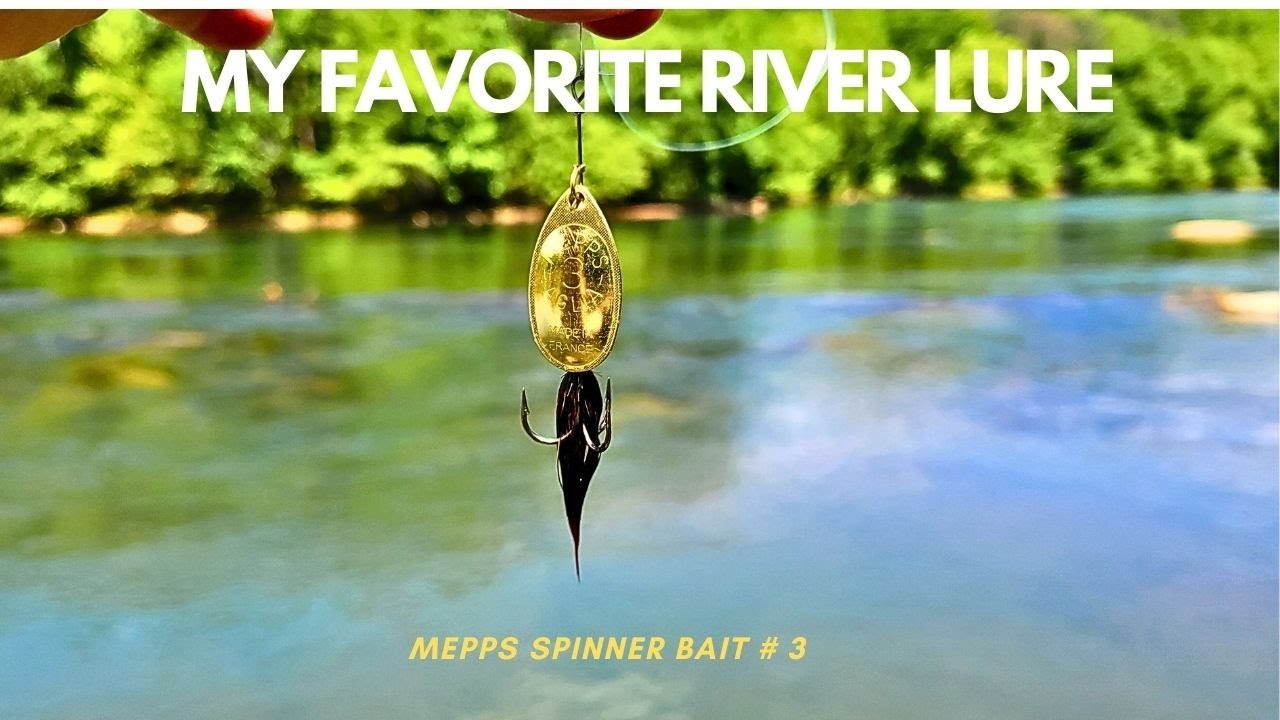 My Favorite Multi-Species Lure (Mepps Spinner) #fishing #mepps #riverfishing