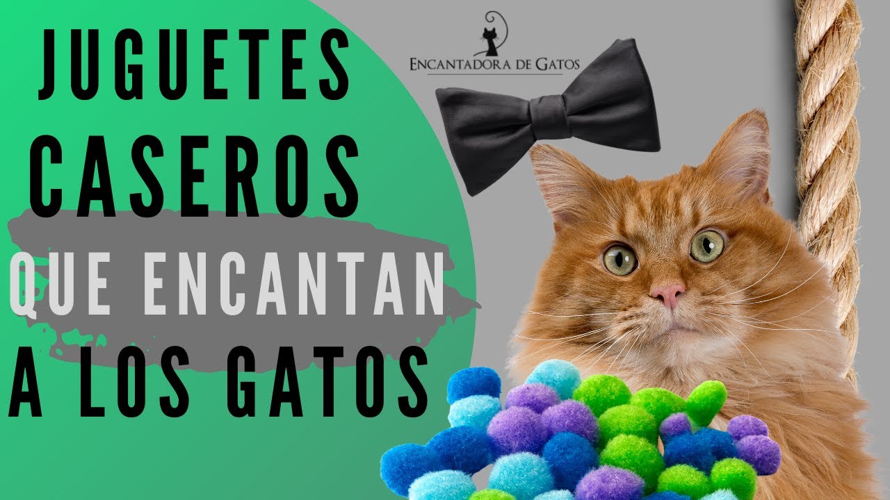 JUGUETES CASEROS PARA GATOS (buenos, bonitos y baratos) | Encantadora de Gatos