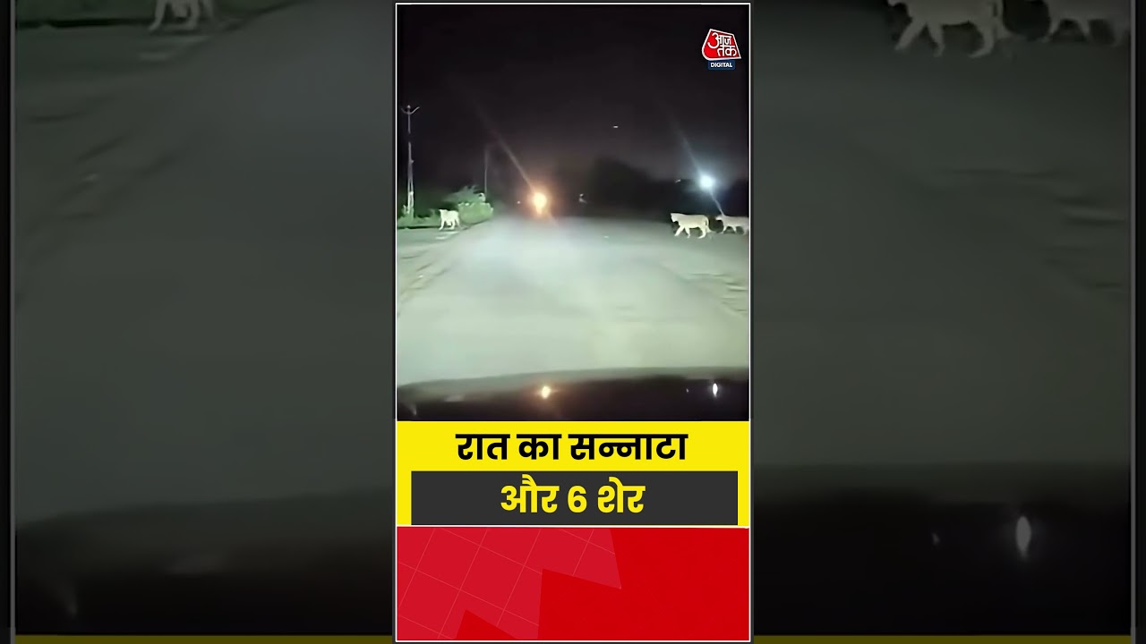 Shorts| रात का सन्नाटा और 6 शेर #viral #shorts #trending #atshorts