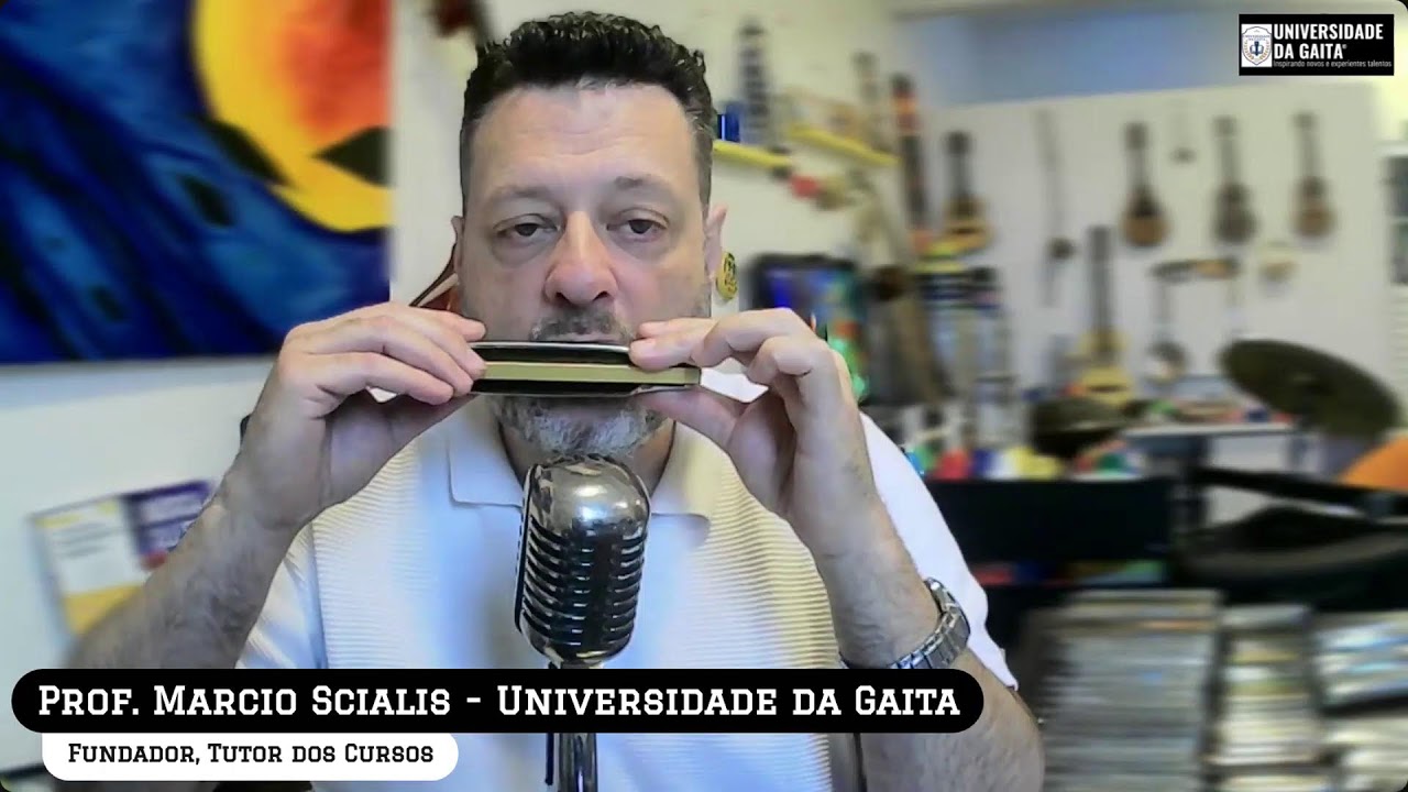 Anatomia das Gaitas: Diatônica, Cromática Trêmolo e Oitavada