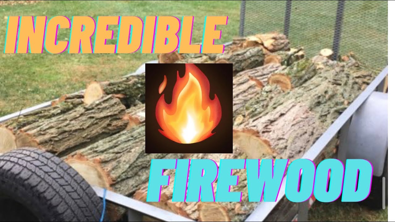 Everything you wanted to know about Black Locust firewood!