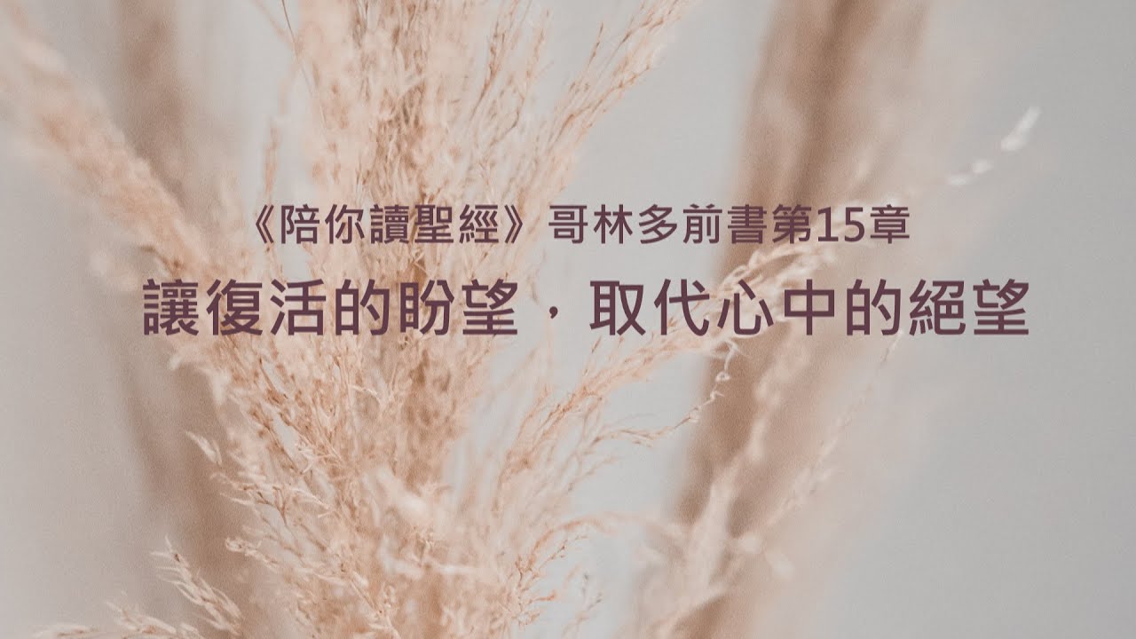 哥林多前書15章/陪你讀聖經《讓復活的盼望，取代心中的絕望》