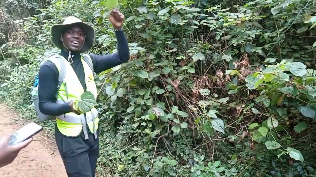 ADVENTURE IN  NYADUMA FOREST  (KIAMBU)