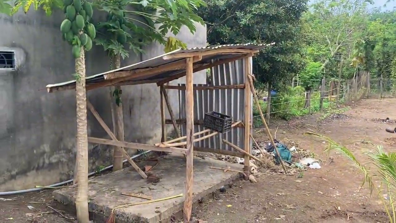 H đông bán nhà vường mặt nhựa 14,5x66  nở hậu 16 m df 1 sao giá 980 triệu lh 0396429904