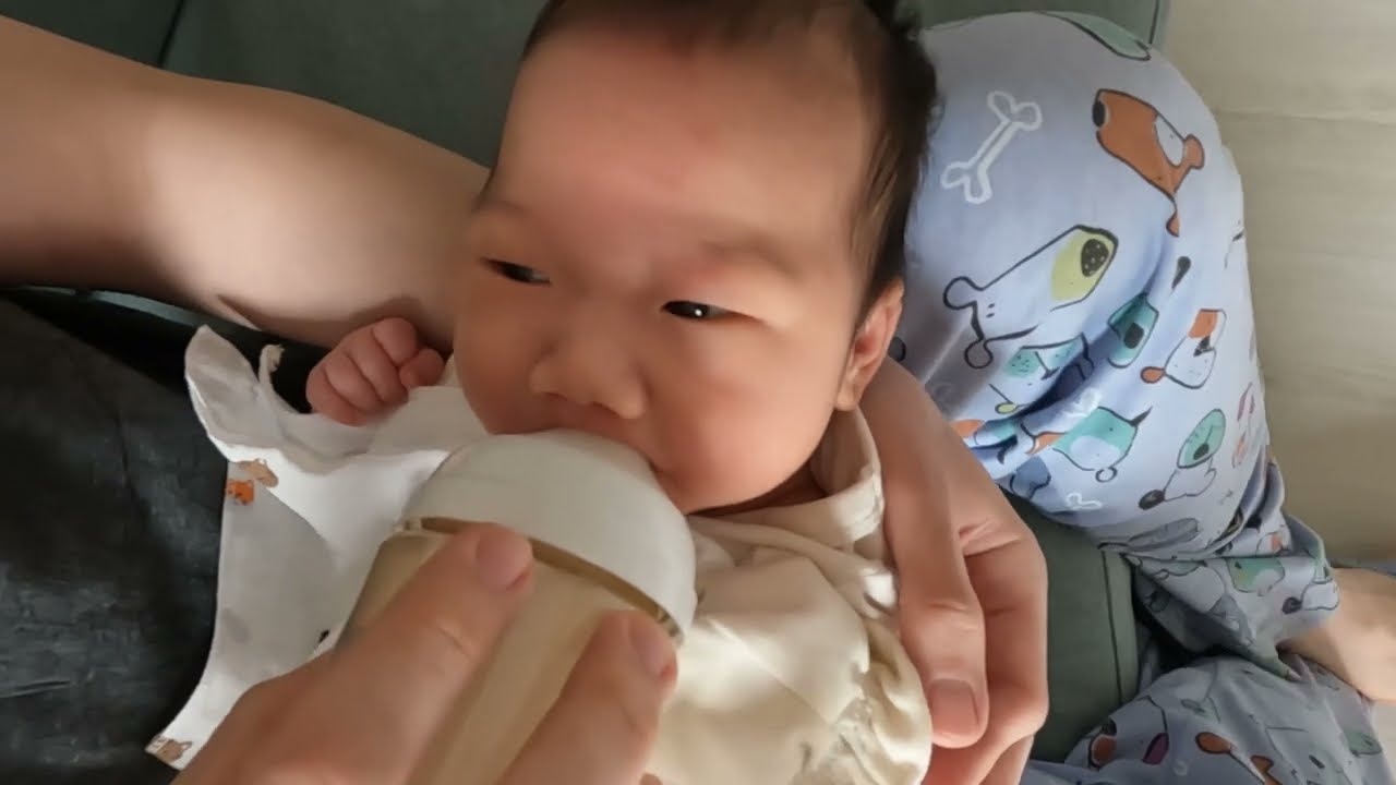 일리의 50일 하루