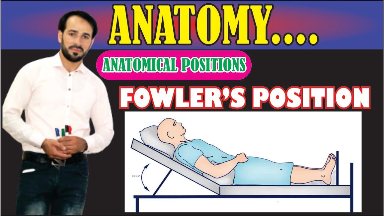 Fowler's Position | Anatomical Positions | Explained Practically | Learn Conceptually