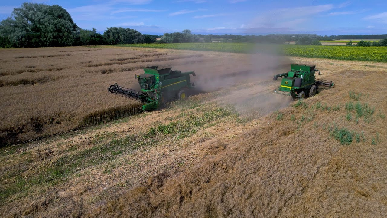 Canola harvest┃Repce arat&aacute;s 2023┃John Deere T660i, T560