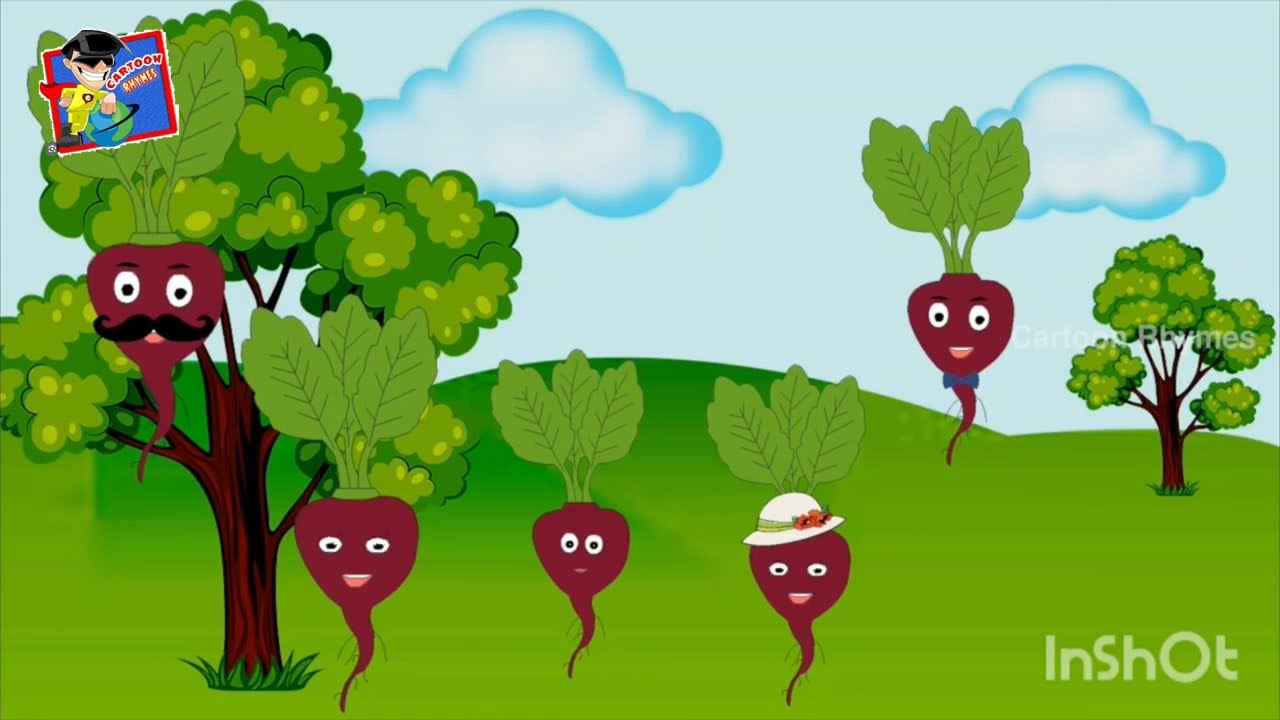 Finger family song vegetable soup and salad with chicken and salad with chicken 
