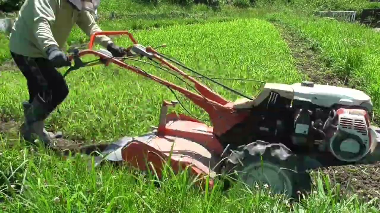 今日は、雨降りなので晴れた日の耕運機＆草刈りの動画を編集しております。梅雨明け後の晴天はいつにも増して強力で閉口しますね⁉