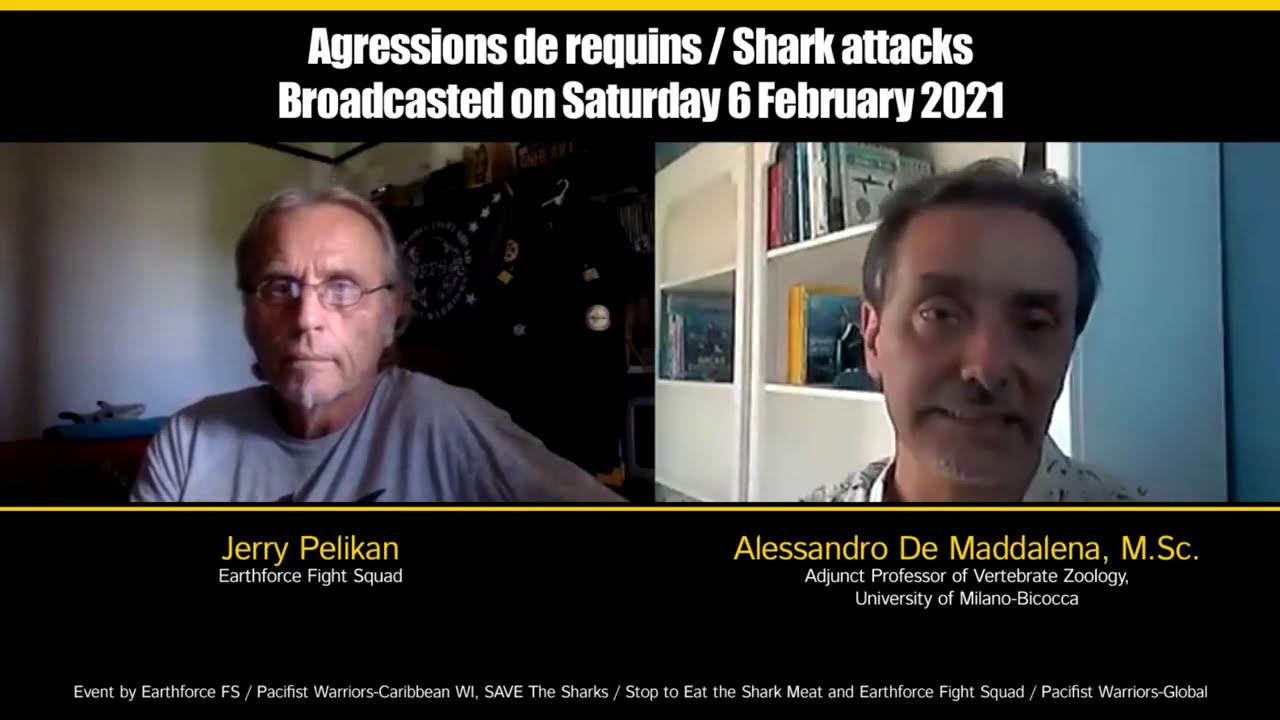 Alessandro De Maddalena interviewé sur les aggressions de requin par Jerry Pelikan (6 fevrier 2021)