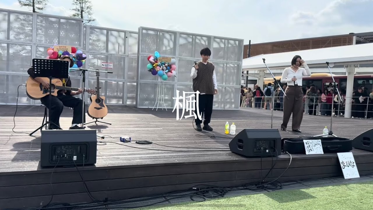 楓／スピッツcoverまひなin百花繚乱