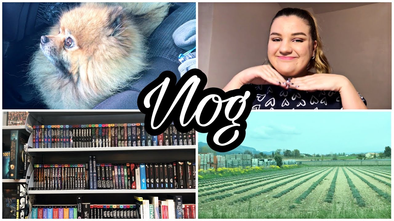 vlog lecture | romance paranormale, book haul et makeup tutorial lol