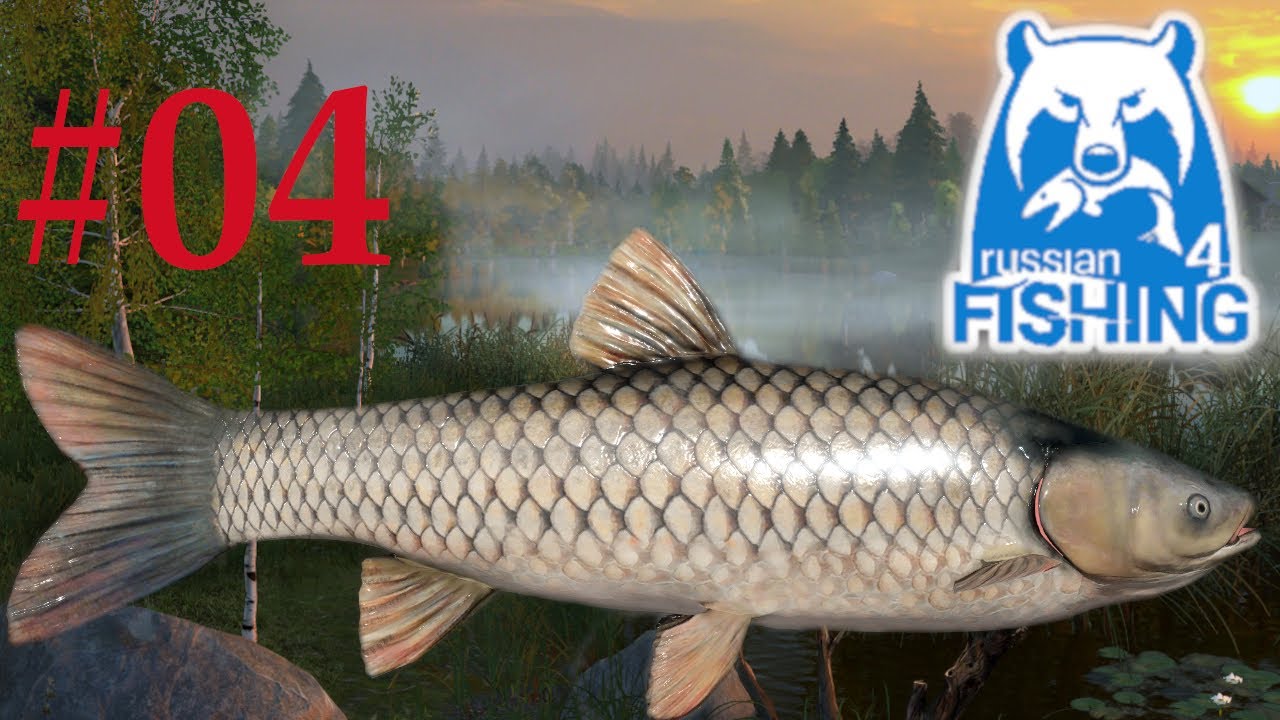 Russian fishing 4 - Walka z rybą - Amur Biały | Grass Carp | Jezioro Stary Gród | Old Burg Lake #04