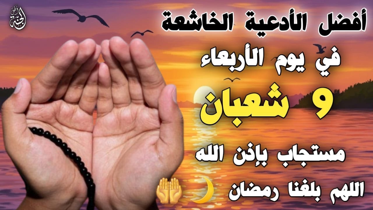 دعاء خاشع فى يوم الأربعاء 9 شعبان 2026 🌙 دعاء يفتح لك ابواب الخير والرزق - مستجاب بإذن الله - Doaa
