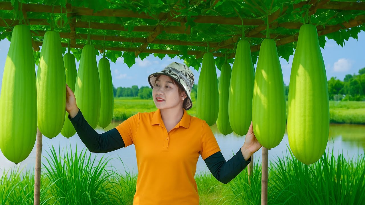 100 Days Harvesting Strange Gourds, Eggplant Go to Market Sell - How to Grow Cucumber