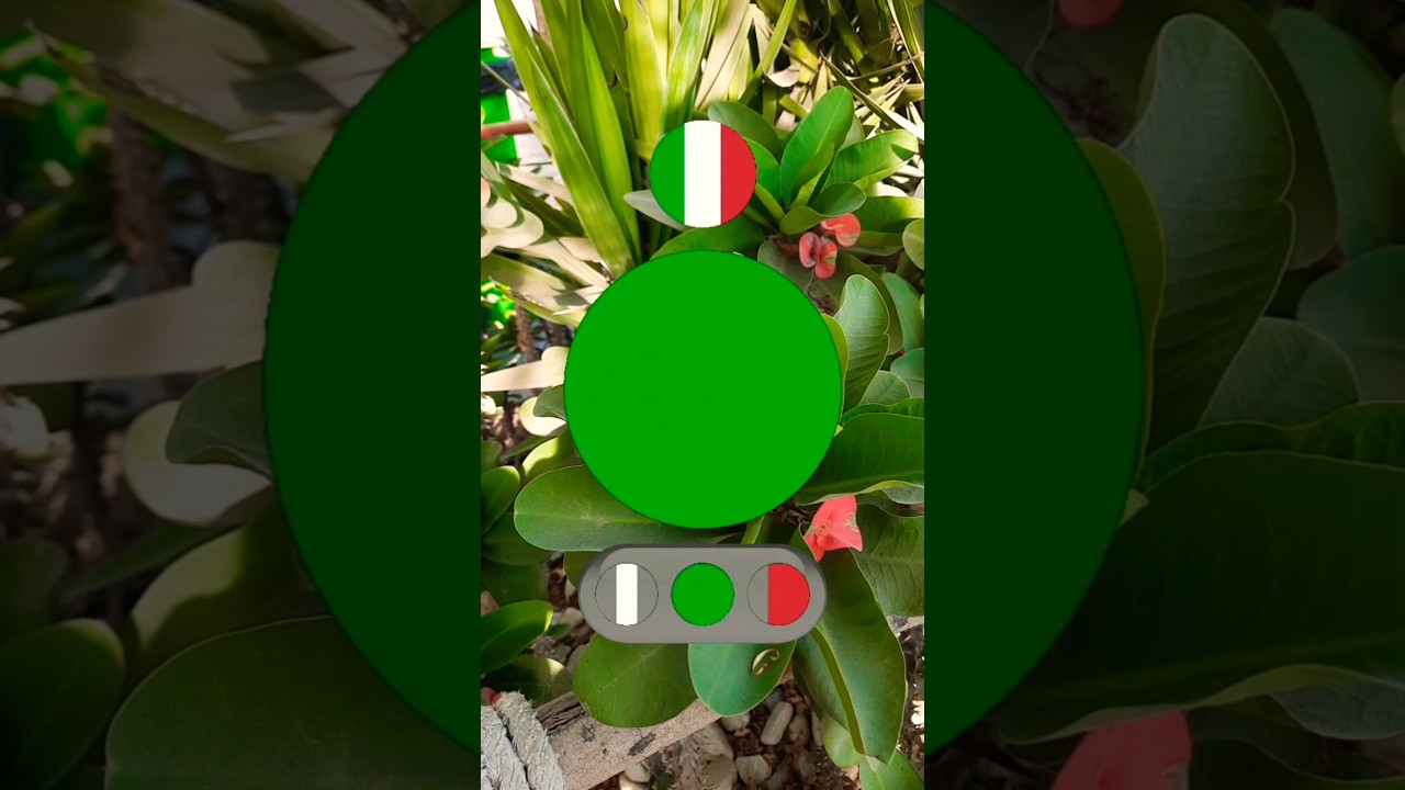 Painting flag coloring match Puzzle game 
