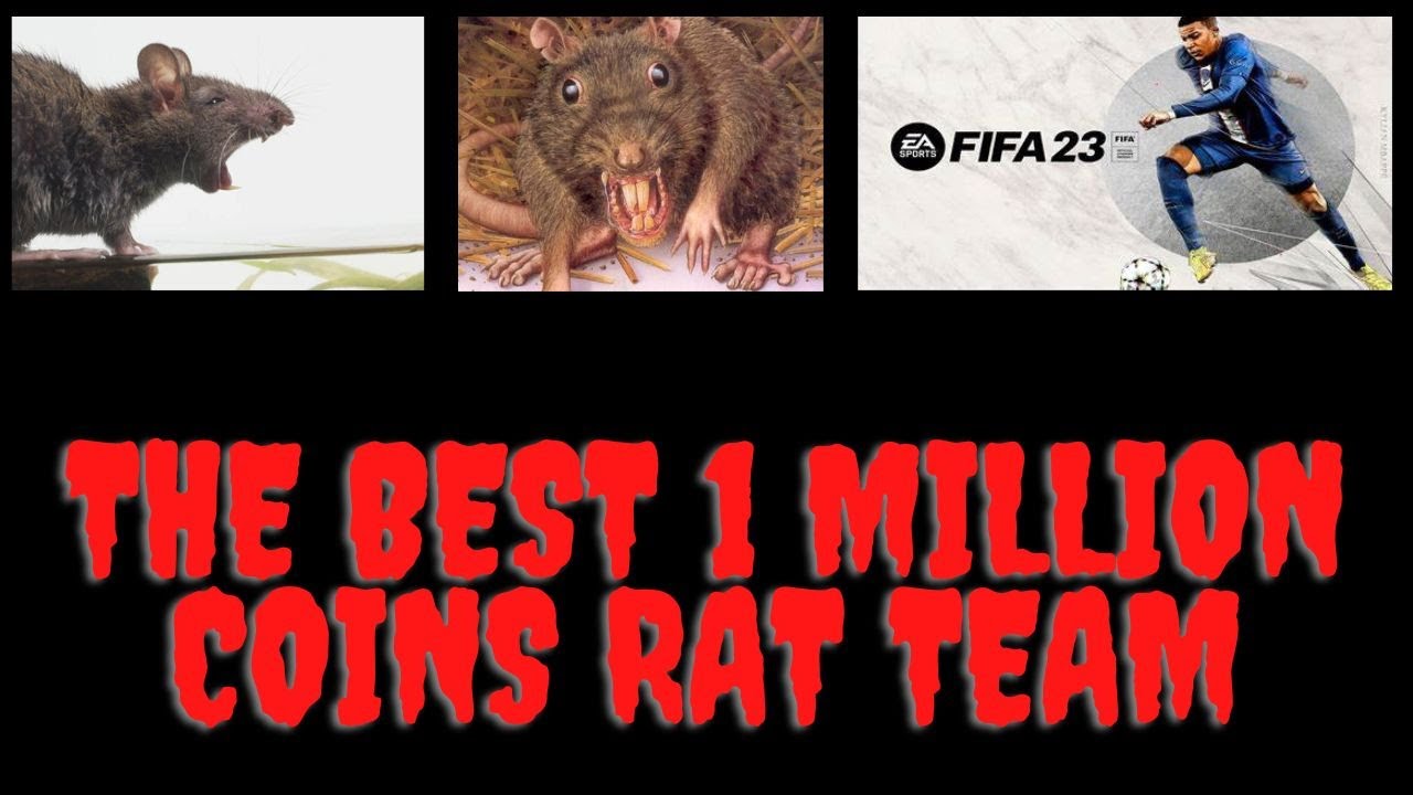 FIFA 23 THE BEST 1 MILLION COIN TEAM