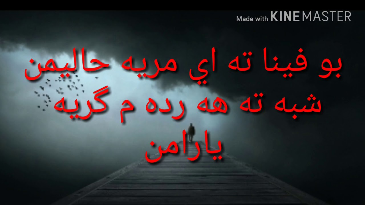 شفان اكرم 14