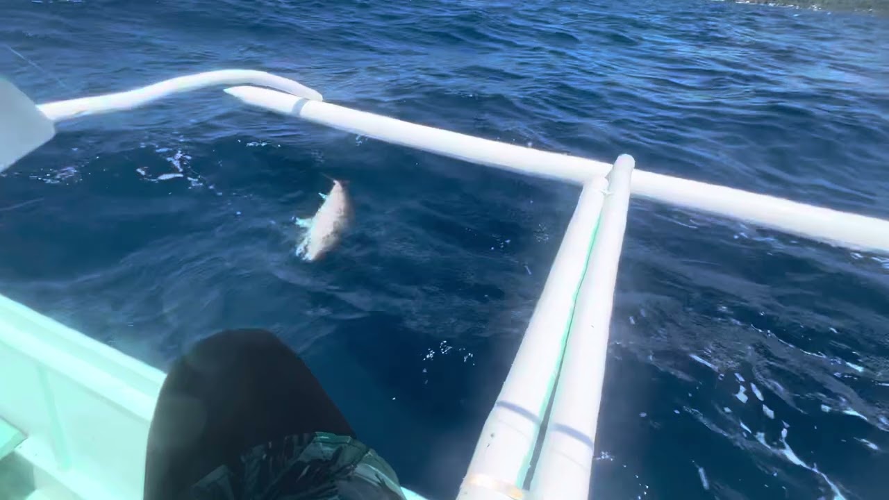 Amberjack caught on Jigging‼️|Bohol Shore|Tournament Open | gc claro