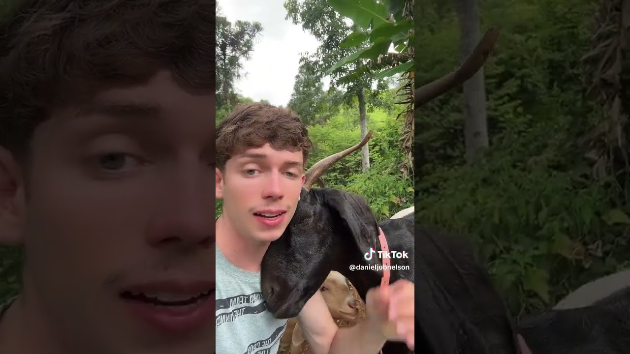 singing in front of a goat wholesome reaction 😍🎶