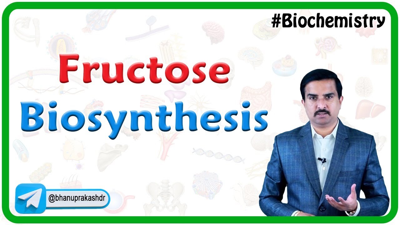 Fructose Biosynthesis : Medical Biochemistry - Dr G Bhanu Prakash
