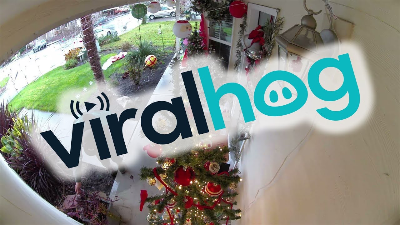 Delivery Driver Fixes Christmas Decorations after Storm || ViralHog